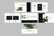 House Plant Presentation, a Presentation Template by Recreative (Thumbnail 6 of 6)