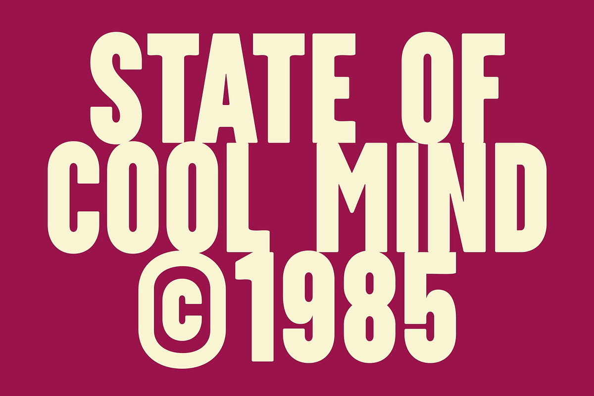 CS Midland – Condensed Font, a Sans Serif Font by Craft Supply Co. (Photo 4 of 8)