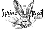 Spring Rabbit, an Animal Illustration by Maria Redko