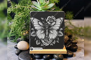 Butterfly Roses Flowers Bloom Insect