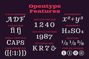 DT Augustina Slab 1 Subfamily, a Slab Serif Font by Deveze Type Foundry (Thumbnail 26 of 31)