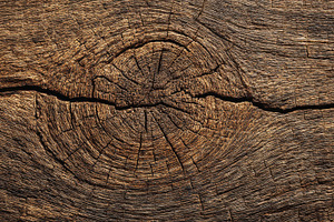 Detailed view of aged wood texture, a Photo by Pavel_design