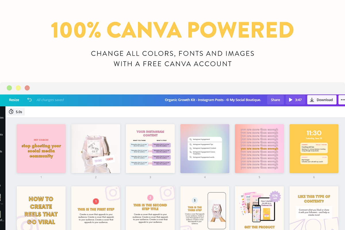 Organic Instagram Growth Kit, a Social Media Template by My Social Boutique (Photo 10 of 12)
