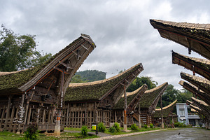 Traditional Toraja houses with buffalo horns, Sulawesi, Indonesi