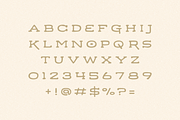 Taco Run, a Slab Serif Font by Bruised Goods (Thumbnail 2 of 2)