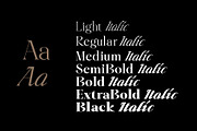 Liliane Classe Serif Font Family, a Serif Font by Ryul Davidson (Thumbnail 4 of 21)