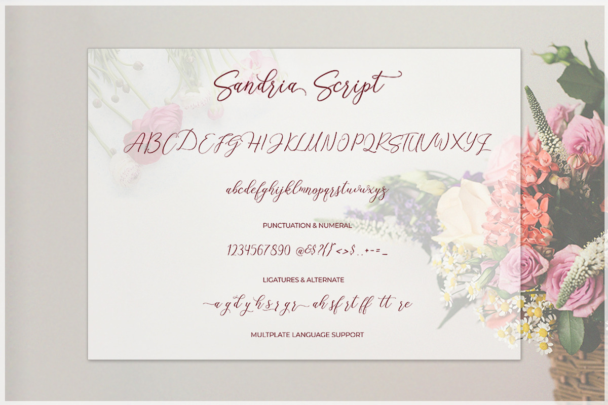 Sandria Script, a Script Font by Attract Studio (Photo 9 of 10)