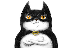 Batman cat