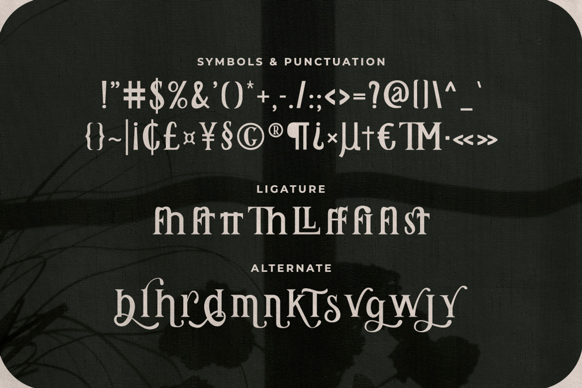 Remily - A Classy Serif Font, a Serif Font by Typefactoryco (Photo 3 of 10)