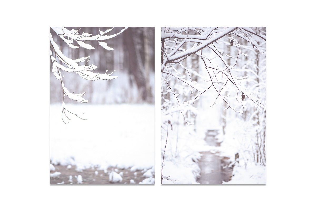Winter Blurred background, a Nature Photo by WildStrawberry Magic (Photo 6 of 9)
