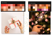 Holidays Procreate BUNDLE, a Brush Add-On by Let's Art (Thumbnail 24 of 24)