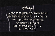 Olswyn, a Script Font by Gatype (Thumbnail 8 of 11)