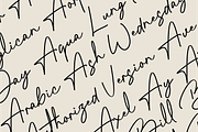 South Ortondo Font, a Handwritten Font by Muwatta Studio (Thumbnail 2 of 10)