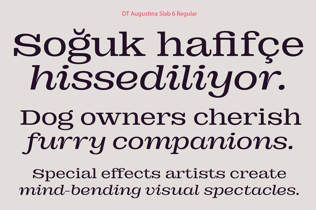 DT Augustina Slab 6 Subfamily, a Slab Serif Font by Deveze Type Foundry (Photo 7 of 30)