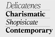 Rosemeri — MODERN EDITORIAL SERIF, a Serif Font by InkwellTypeCo (Thumbnail 4 of 19)