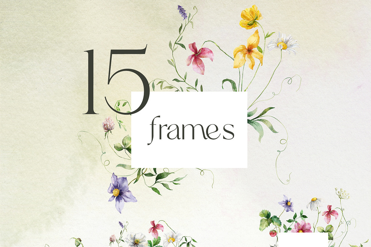 Wildflower poetry watercolor floral, a Decorative Illustration by Yuliya Derbisheva (Photo 6 of 13)