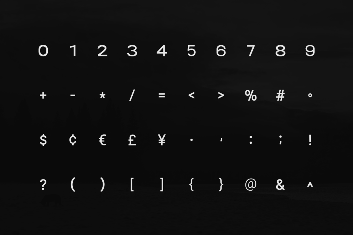 Stark Nue - a Premium Sans-serif, a Sans Serif Font by Webhance Studio (Photo 6 of 10)