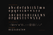 Maglin Elegant Serif Font, a Serif Font by Perfectype (Thumbnail 6 of 8)