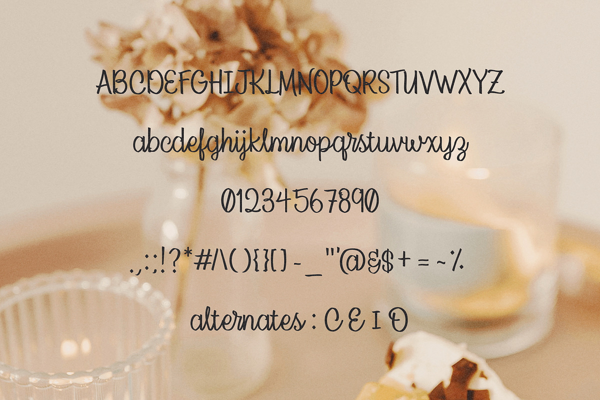 Serendipity Script Calligraphy Font, a Script Font by Paridisce Creative (Photo 8 of 8)