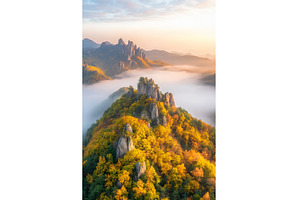 Autumn Foliage and Mist Enshrouded, an Animal Photo by Lermont51