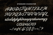 Black Editorial Script, a Script Font by Letter Fresh (Thumbnail 10 of 11)