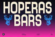 CS Chicago – Modern Sans Serif, a Sans Serif Font by Craft Supply Co. (Thumbnail 2 of 8)