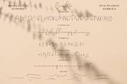 Comilfo, a Script Font by Larin Type Co. (Thumbnail 10 of 10)