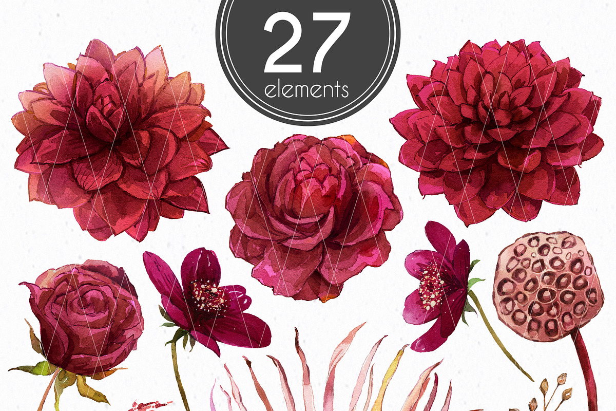 Burgundy Botanical Boho clipart set, an Illustration by KarinkaBU (Photo 3 of 9)