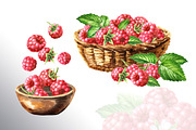 Summer Raspberries. Watercolor set, a Food Illustration by Daria Ustiugova (Thumbnail 12 of 26)