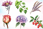 Watercolor Vintage Botanical Clipart, an Illustration by Canvas Craft (Thumbnail 3 of 3)