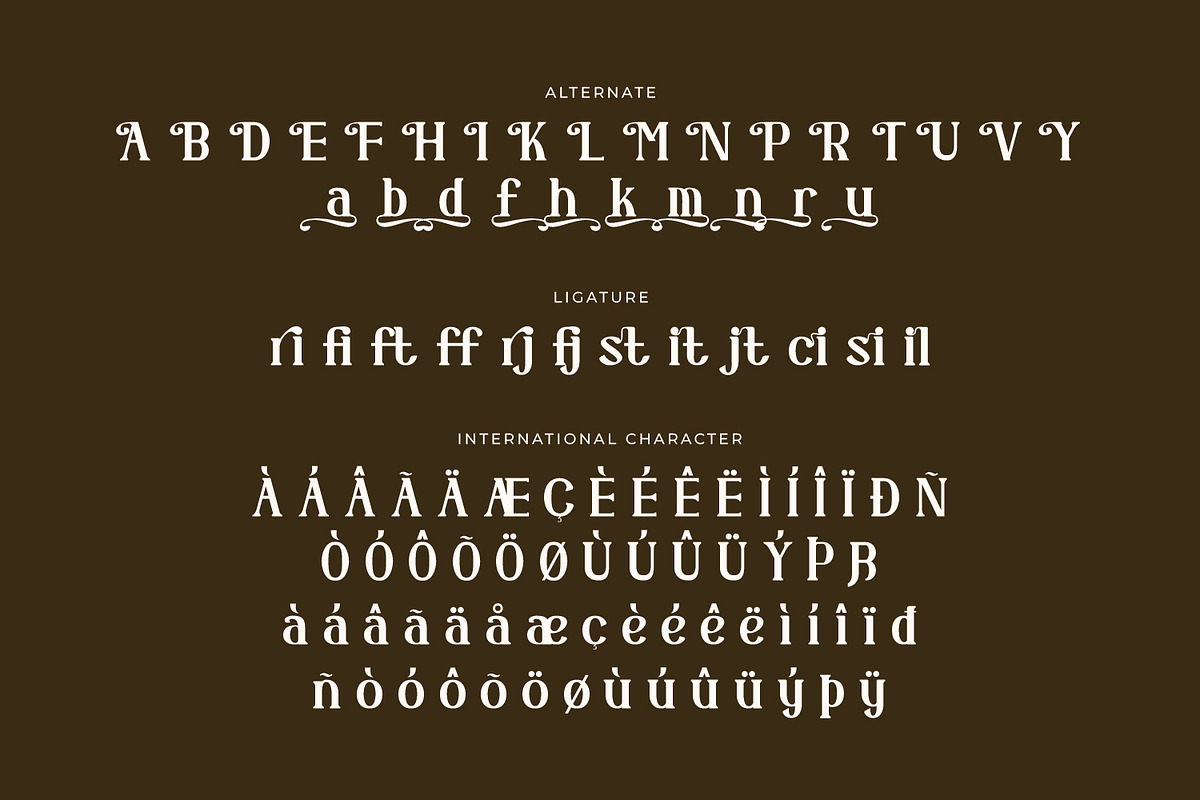 Demerique - Serif Typeface Font, a Serif Font by Rishsketch (Photo 14 of 15)