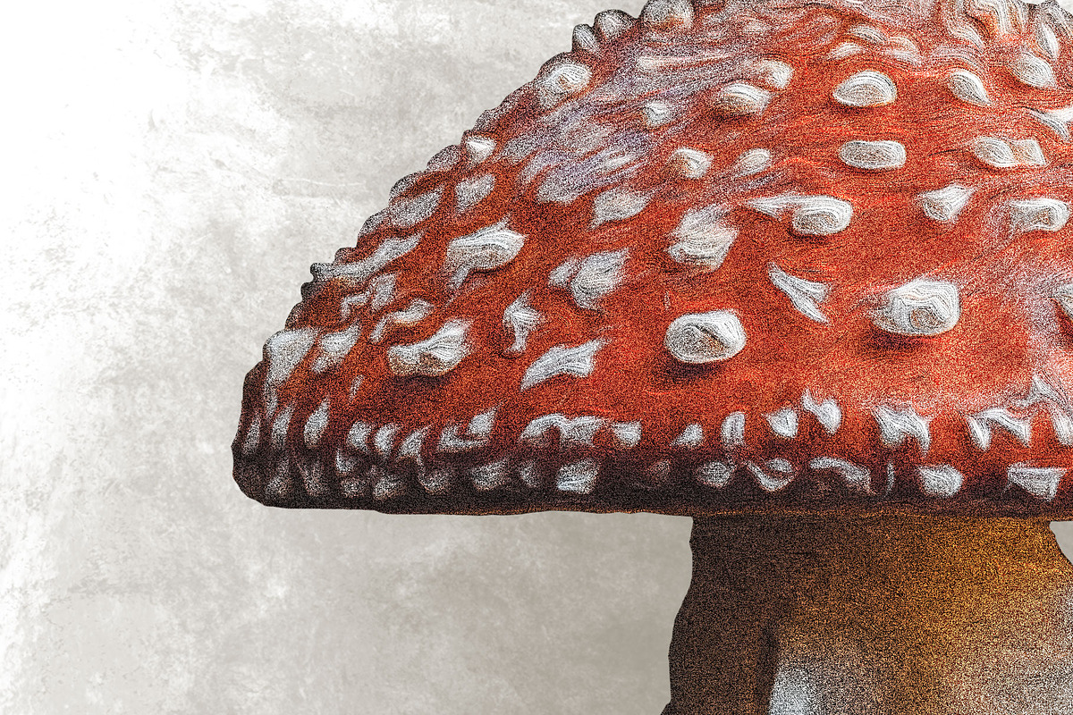 Mushroom Illustration, a Decorative Illustration by Digital Art Downloads (Photo 4 of 4)