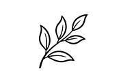 Hand Drawn Leaf Line Art Bundle, an Illustration by hafijul (Thumbnail 6 of 51)