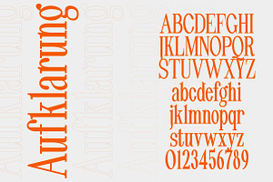 Pheromone Modern Classic Serif