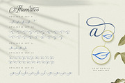 The Virnature Nature Script, a Script Font by alit design (Thumbnail 11 of 18)