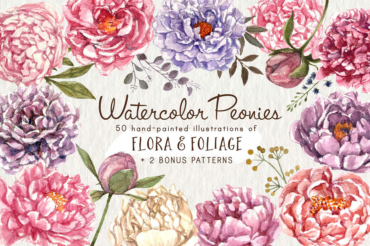 Watercolor Peonies & Foliage, an Illustration by Cynthia Arre (Photo 1 of 7)