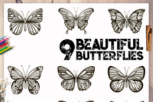 9 Beaitiful Butterflies