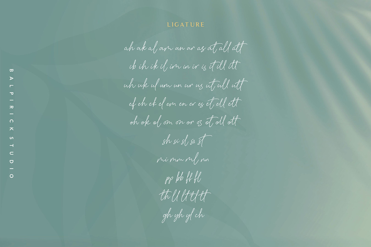 Baldive - a Signature Monoline Font, a Script Font by Balpirick Studio (Photo 8 of 8)