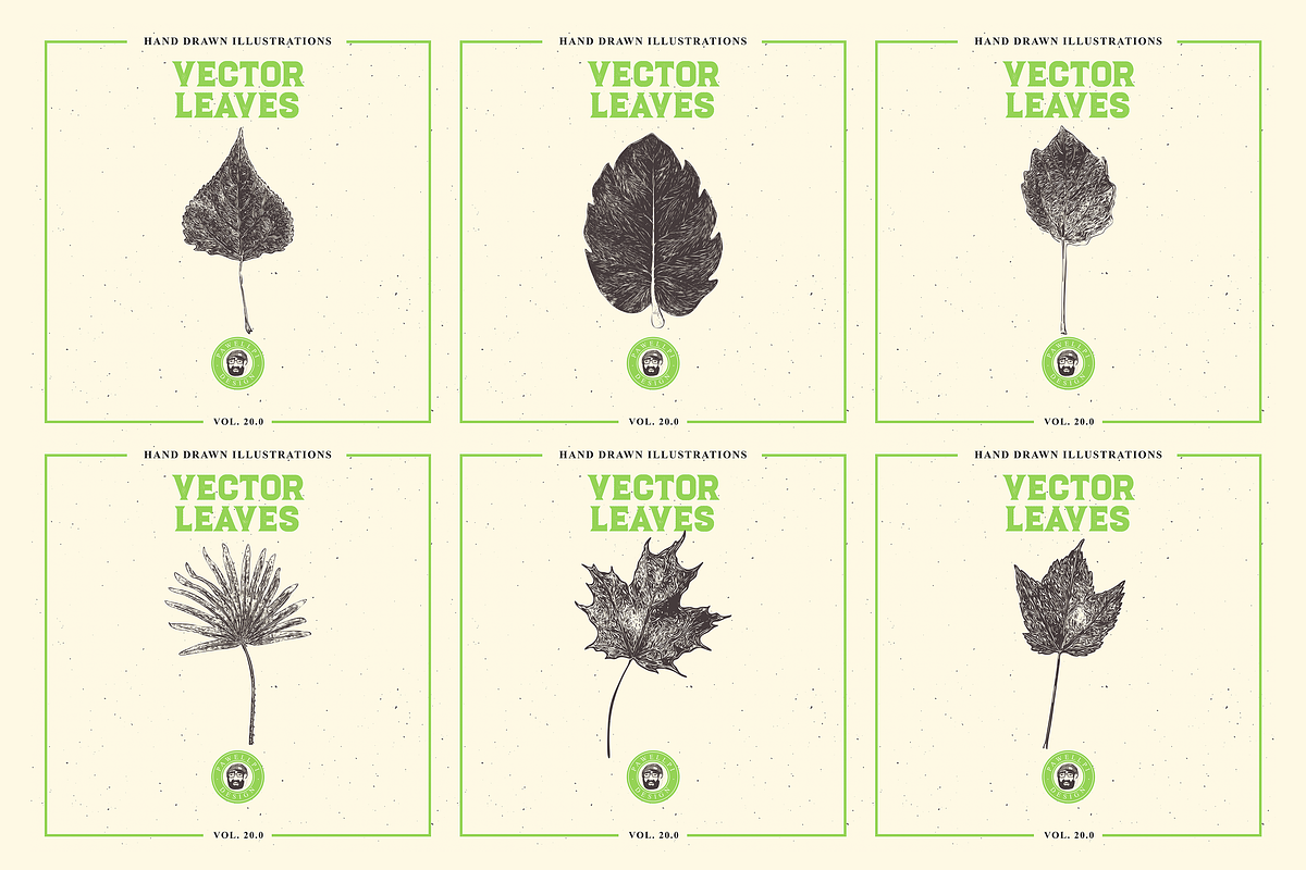 VECTOR LEAVES HAND DRAWN BUNDLE v20, a Decorative Illustration by pawellpi (Photo 4 of 7)