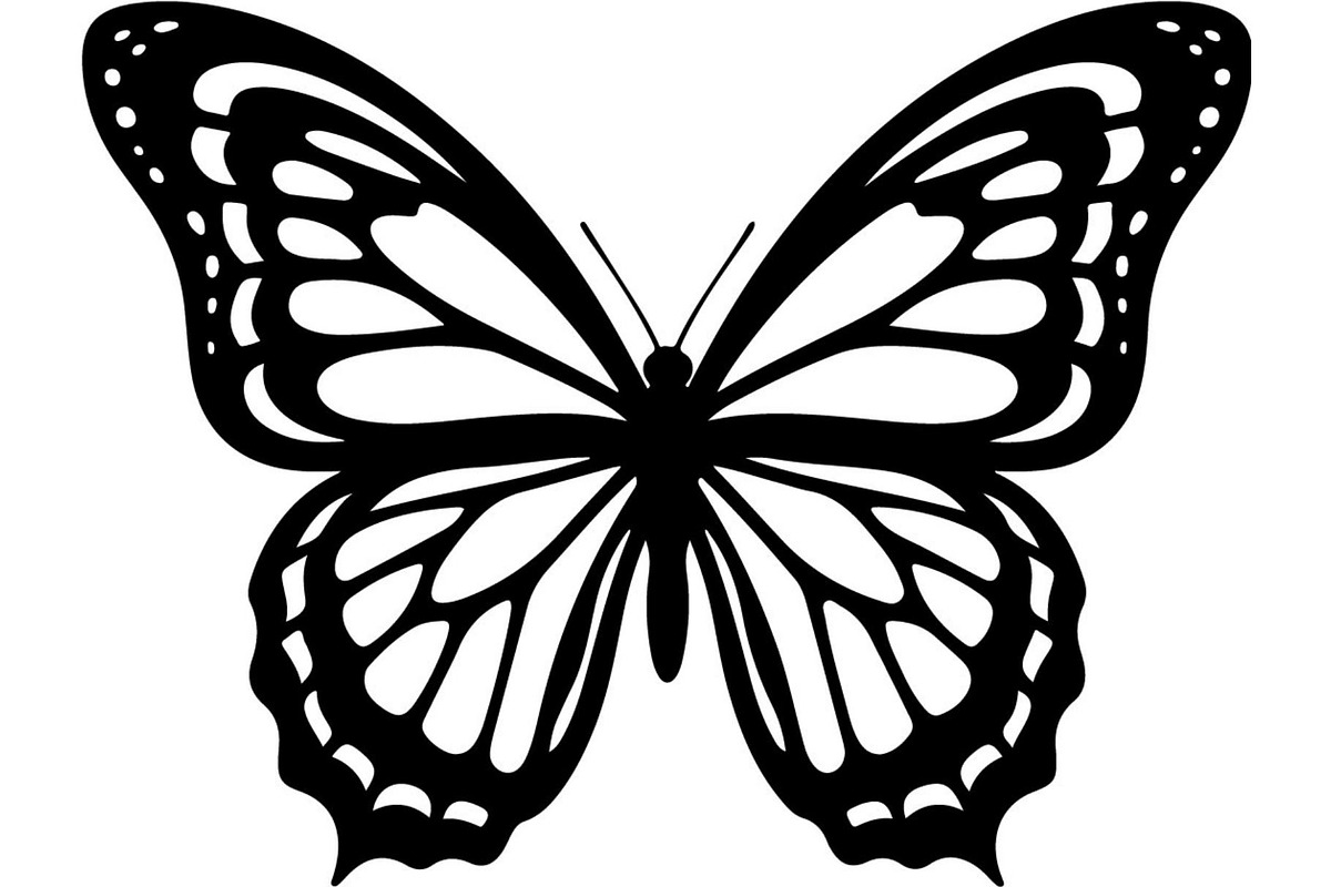 Elegant Butterfly Silhouette, an Object Graphic by Creativeshirt (Photo 16 of 17)