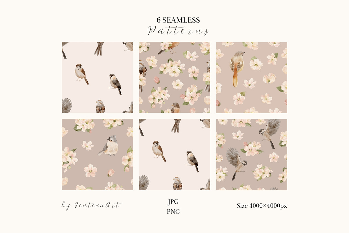 Watercolor Spring Birds & Blossoms, an Animal Illustration by Jenteva Art (Photo 9 of 17)