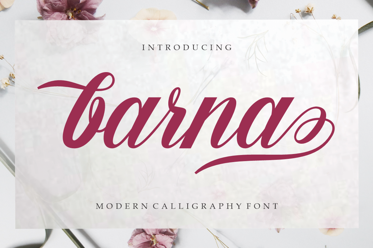 Barna, a Script Font by studiobasic (Photo 1 of 7)