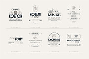 Elegant Floral | Logo Kit, a Branding & Logo Template by KetteCreate (Thumbnail 12 of 23)