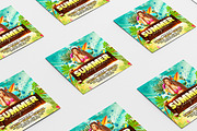 Summer Party Flyer, a Flyer Template by FlyeredTemplate (Thumbnail 3 of 3)