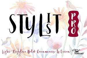 50% OFF Stylist Pro
