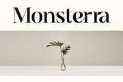 Sangira - Modern Ligature Serif, a Serif Font by Almarkhatype (Thumbnail 7 of 10)
