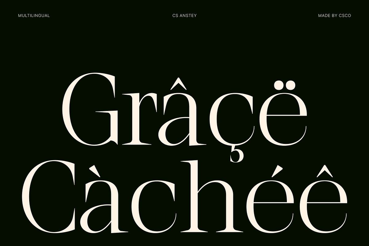 CS Anstey – Elegant Serif Font, a Serif Font by Craft Supply Co. (Photo 7 of 8)