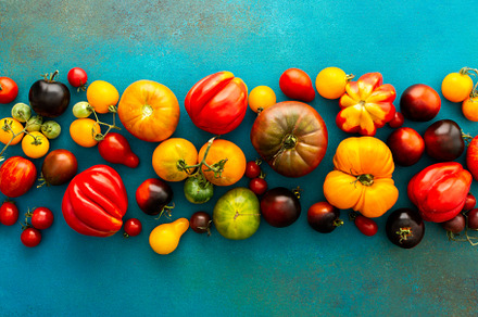 Tomatoes on an emerald background, a Food & Drink Photo by Pandateam