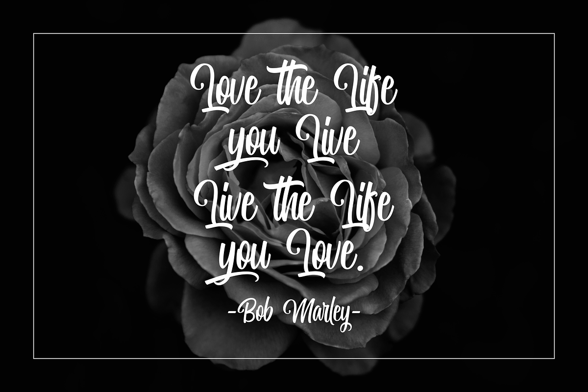 Miguela Script, a Script Font by RedyStudio (Photo 10 of 10)