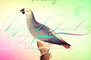 Mercy, a Script Font by Misprinted Type (Thumbnail 2 of 8)